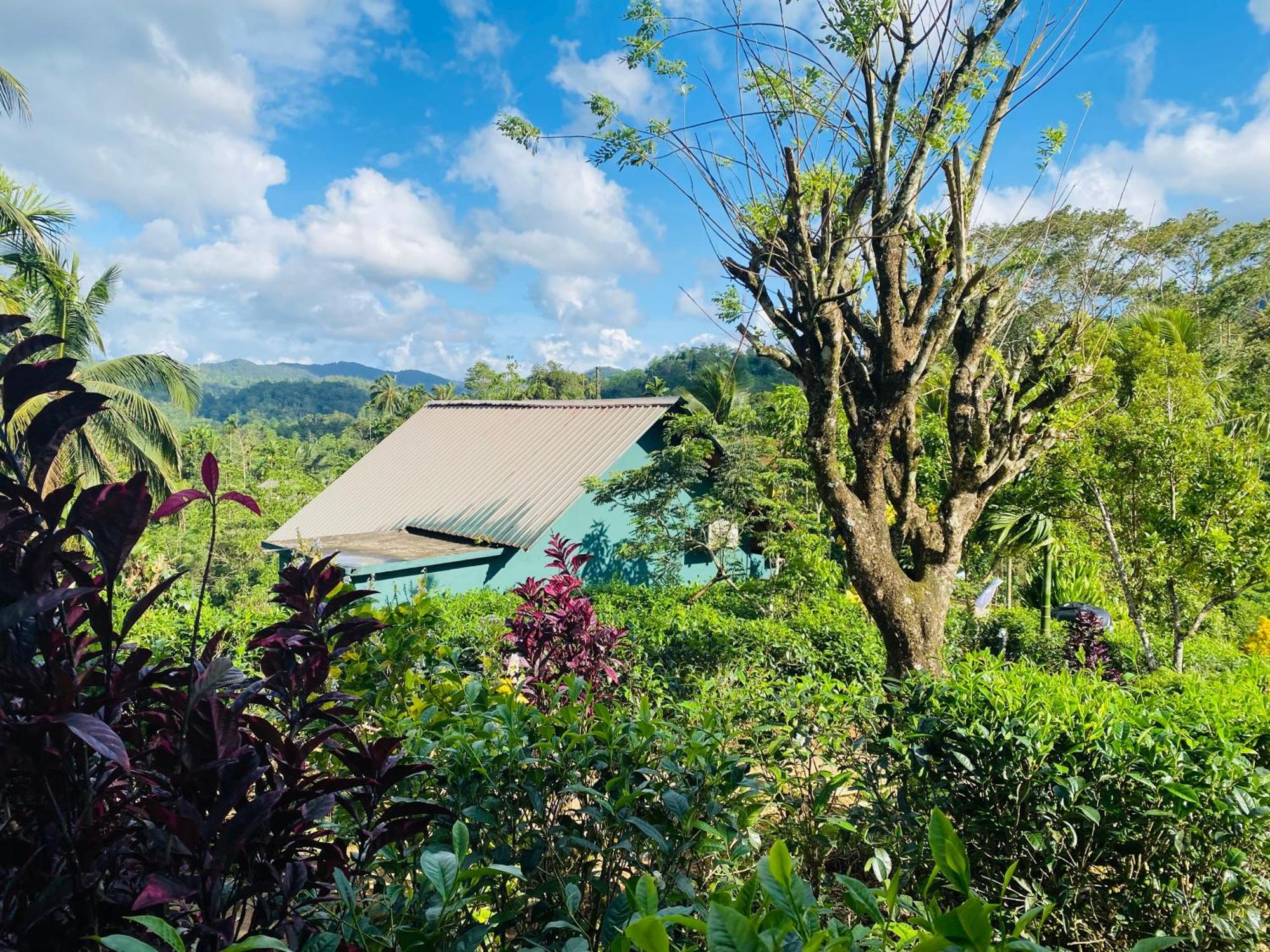 Rainforest Mount Lodge Денияя Екстериор снимка