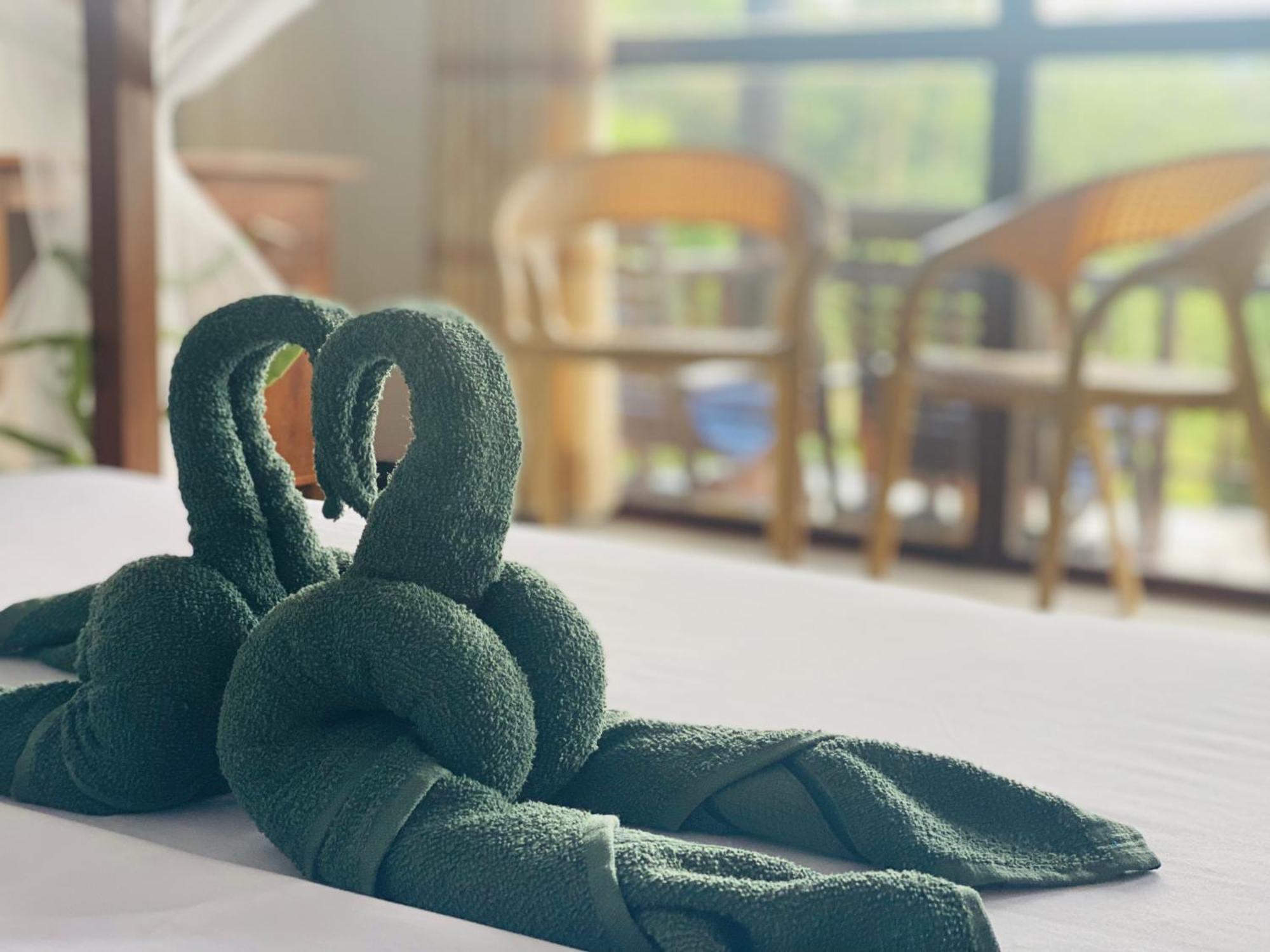 Rainforest Mount Lodge Денияя Екстериор снимка