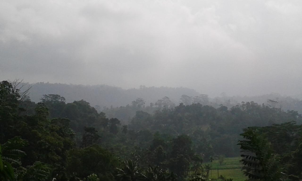 Rainforest Mount Lodge Денияя Екстериор снимка