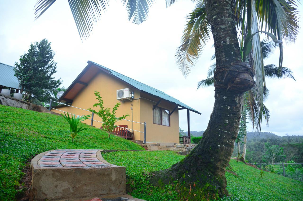 Rainforest Mount Lodge Денияя Екстериор снимка